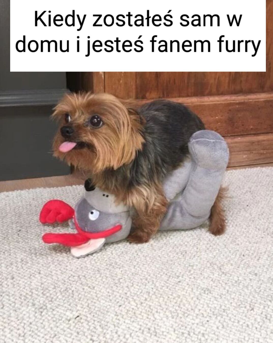 74b4f1c6-d83e-4d36-a70b-4e2621610bb8