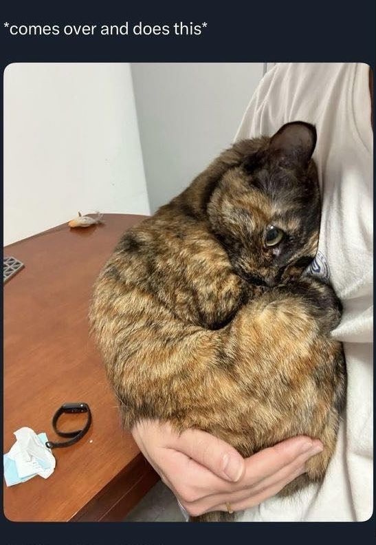 339e6597-24ca-46d4-a440-3403625805f3