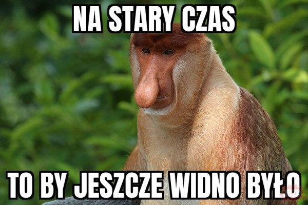 b01a7406-2335-427a-860f-b560362b2cb1