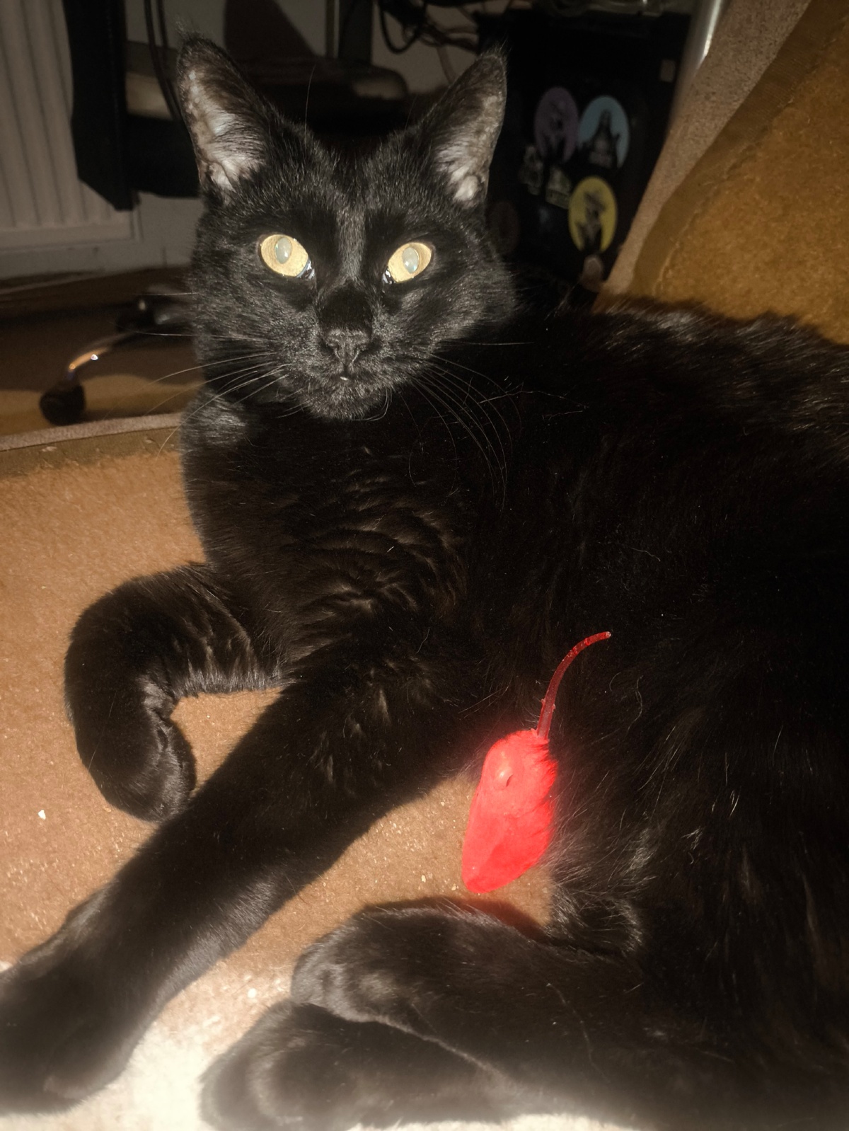 f9f7820b-ad1d-450e-8a47-427f9a9e0db6