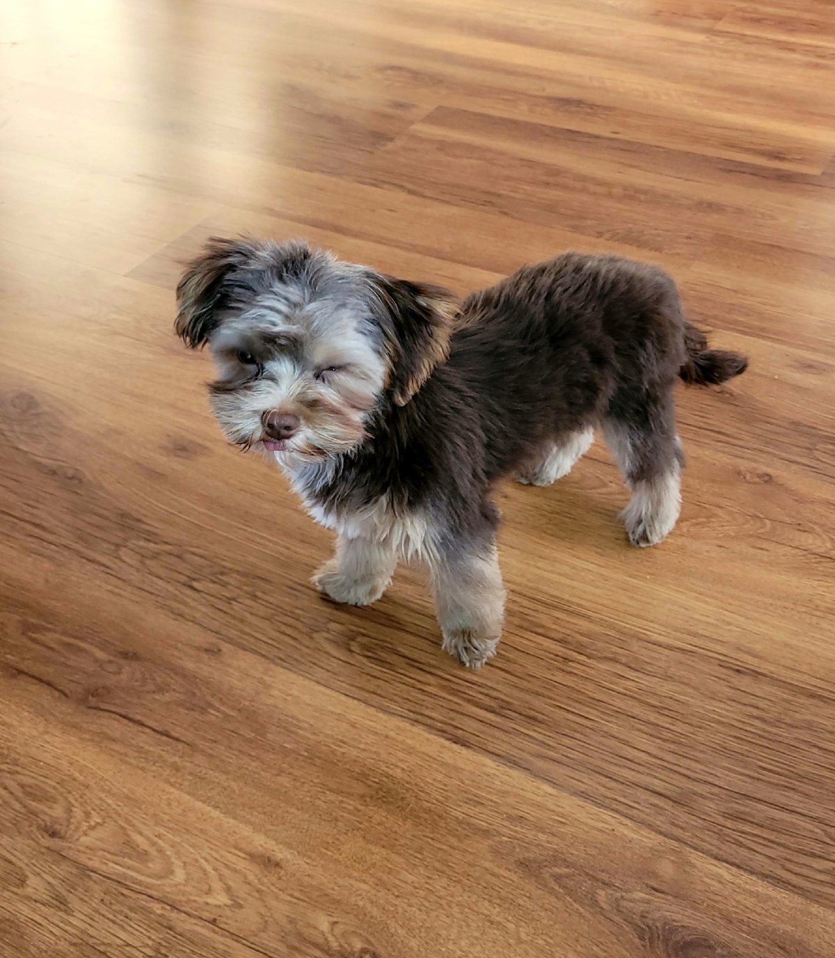 e3936f44-a340-45b5-8094-61e38a87dcc1