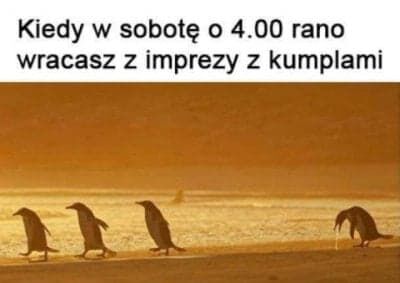 9ed5614f-a138-413f-8174-956287d2762c