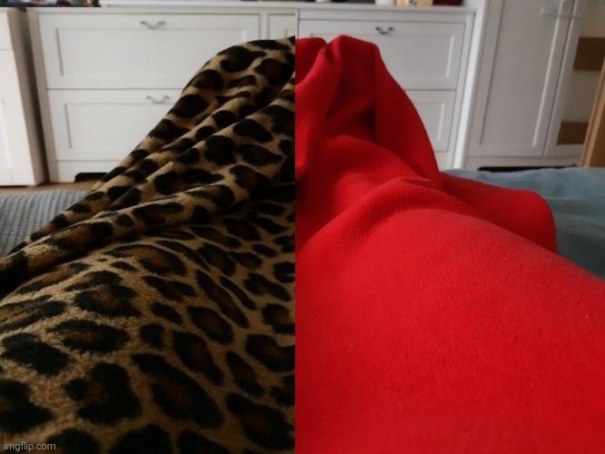 b02cd128-ddac-47dc-9358-1899bdacd426