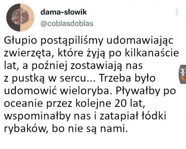 e82bba2d-0b06-436f-ba29-f7a41477b73e