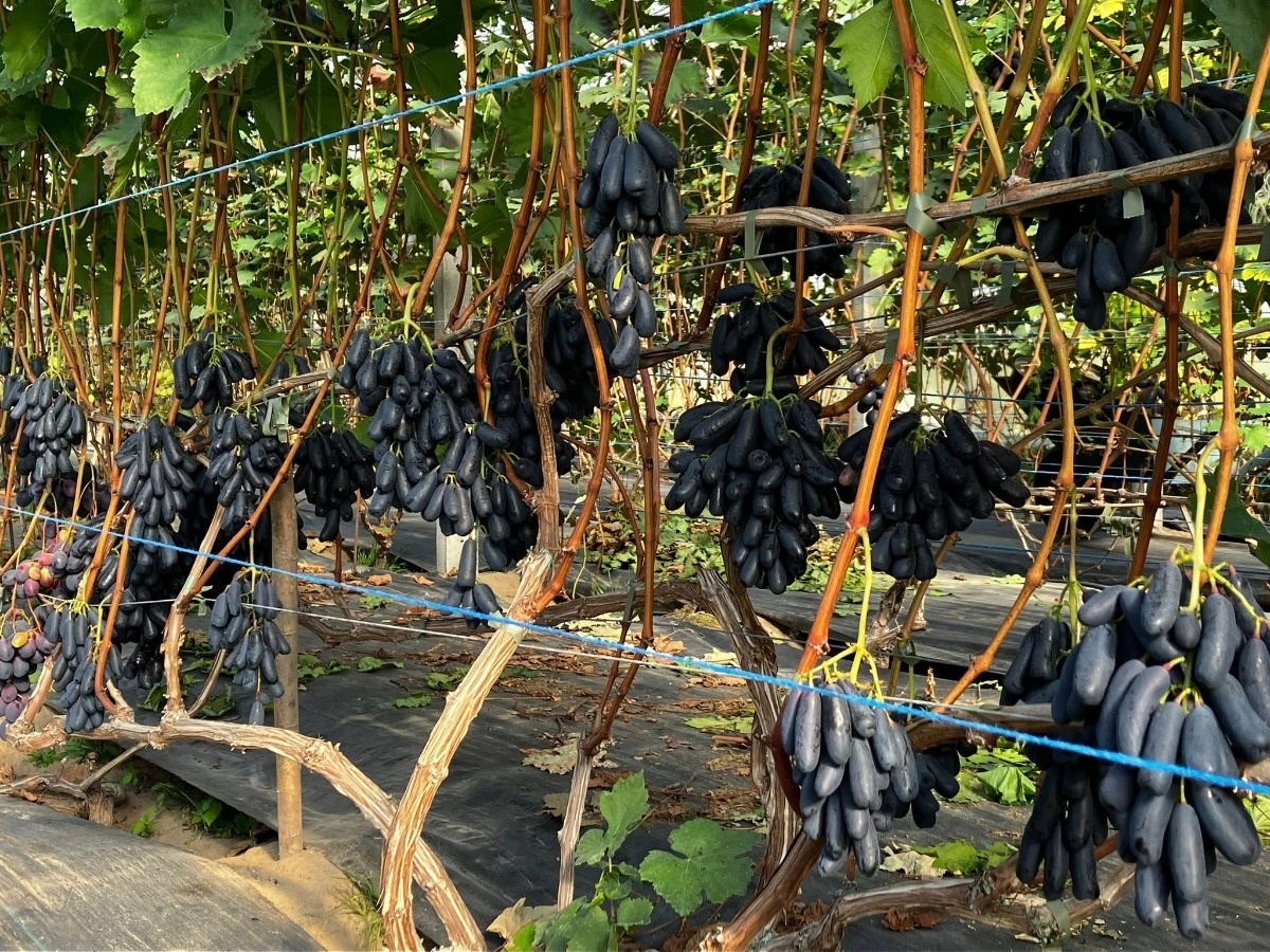 f6920d85-4077-48ce-97ca-ef4bacfa291b