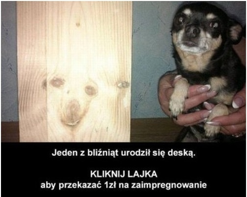 97a79f12-53fb-4a5c-a7c8-4a018f272fc4