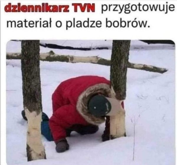 4e206932-d3e2-4ca3-b8cd-1d343bbfd9cf