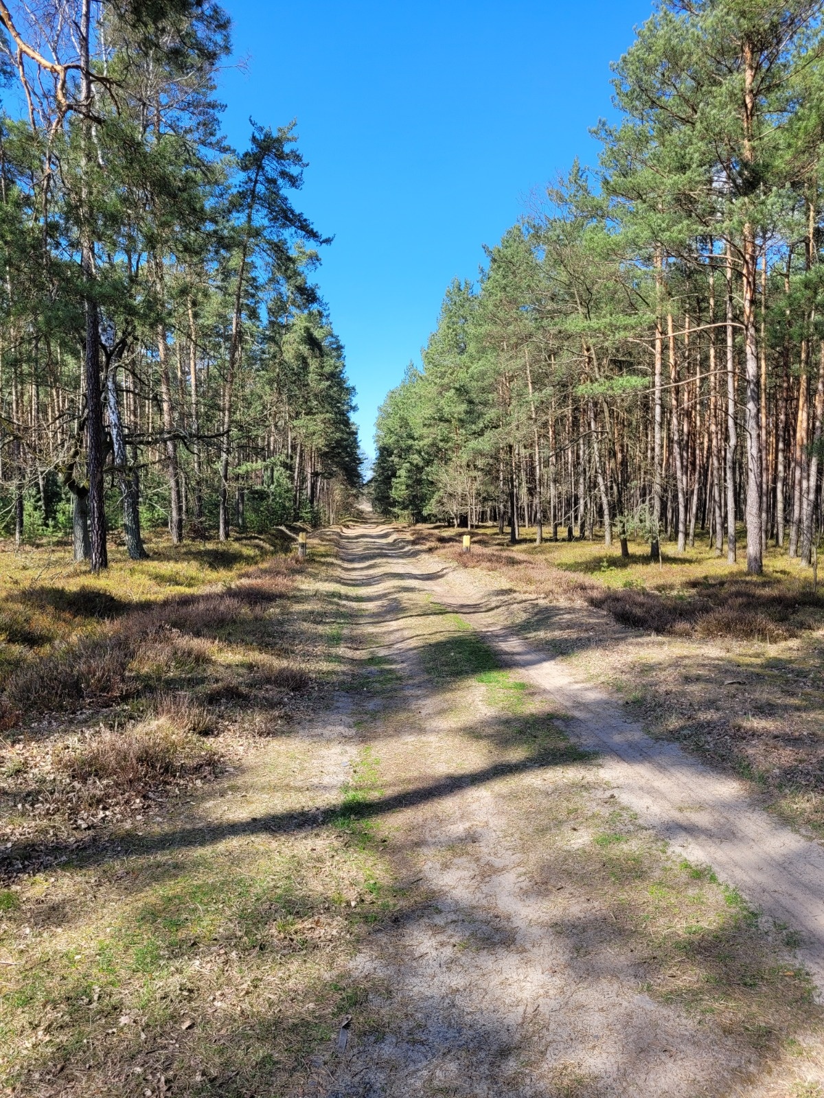 0cd07f00-3480-4922-b644-b104f3a8fe38