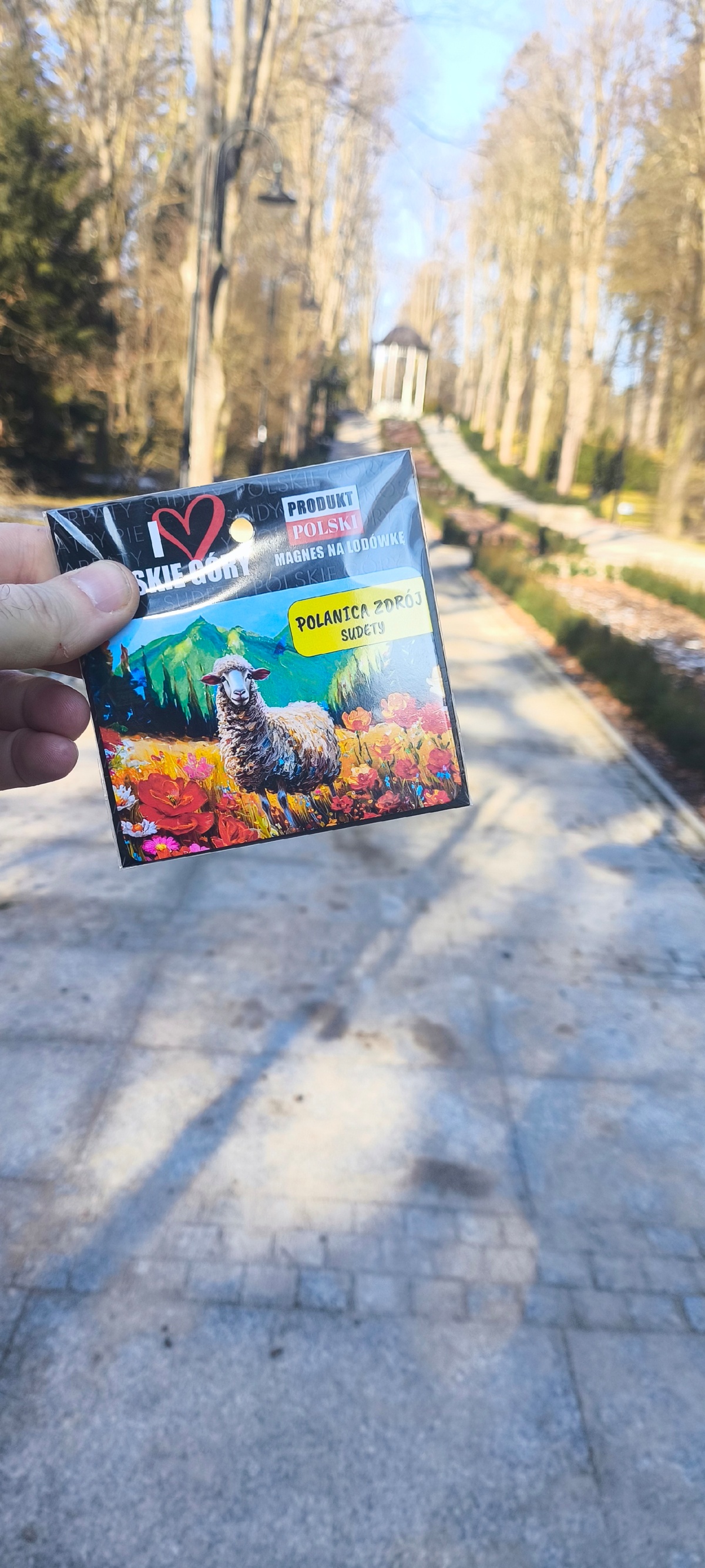 bc498f74-6092-4117-84b0-e0abdf2ee4fa