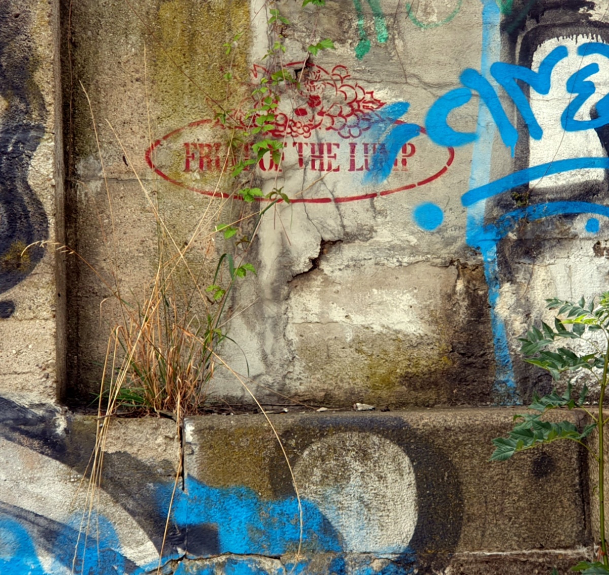 827852ff-fd71-4182-9f56-c39667ba024e