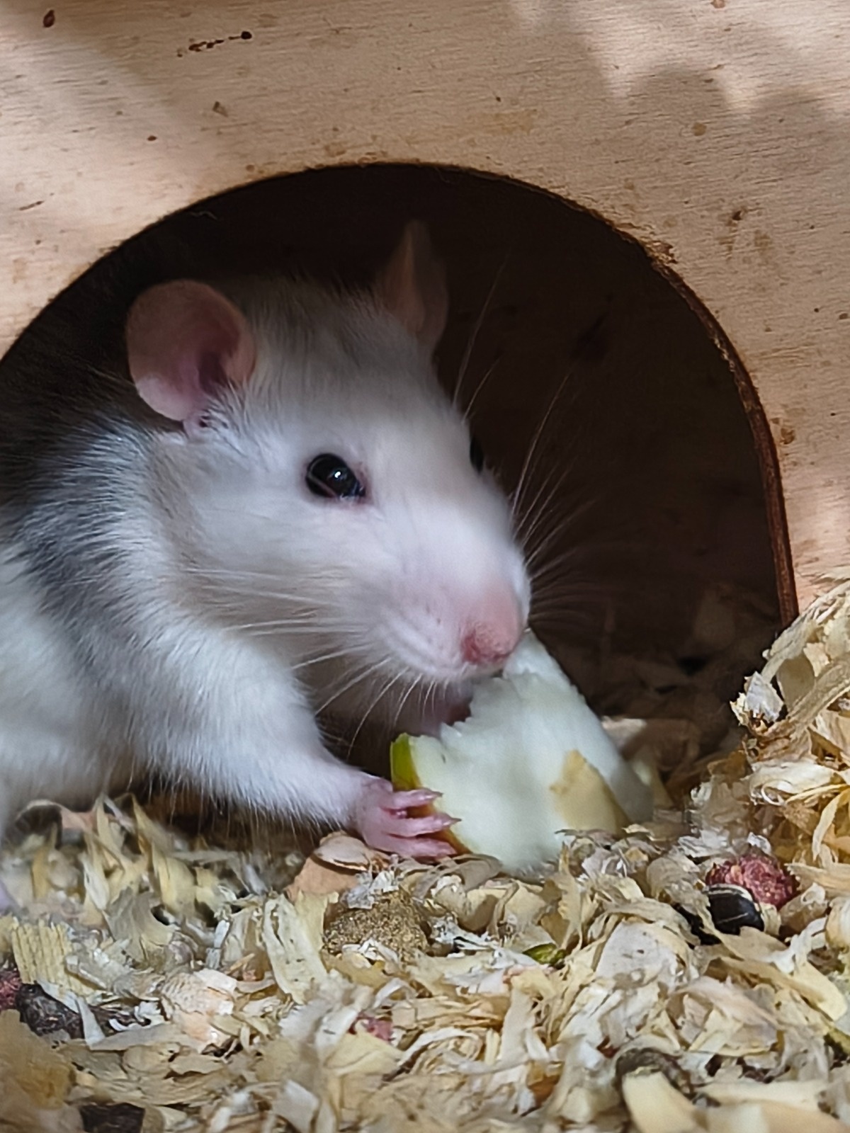 17d2ba07-2cf3-46a1-a8c3-dcf3589ee631