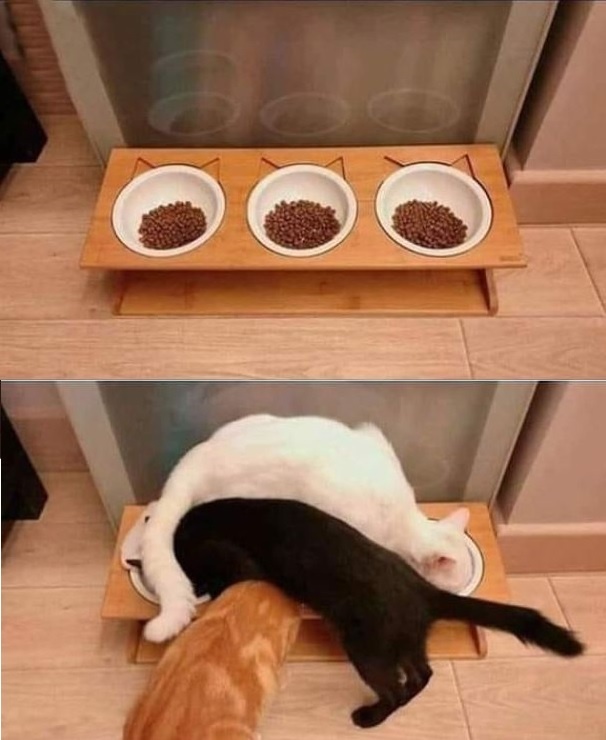 fae1a548-c32a-44aa-9859-beedff06c12b