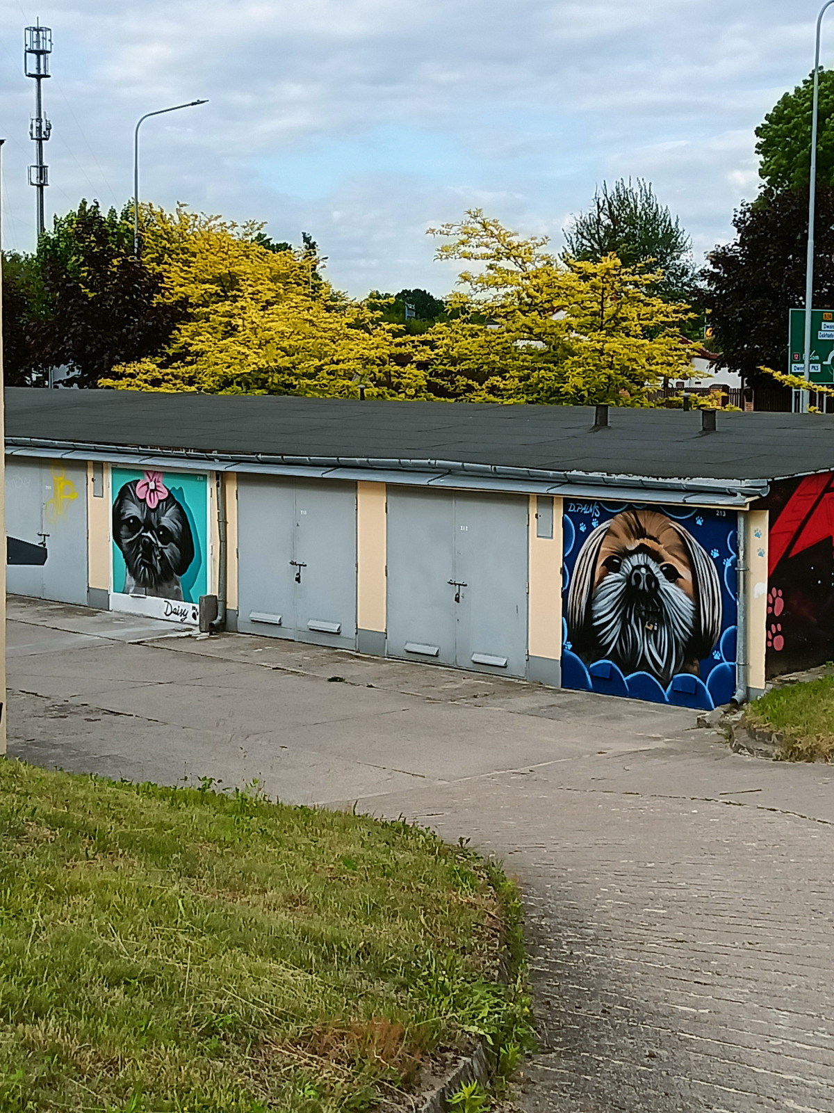 56502de3-9a60-4634-b2a1-1e834ff4f558