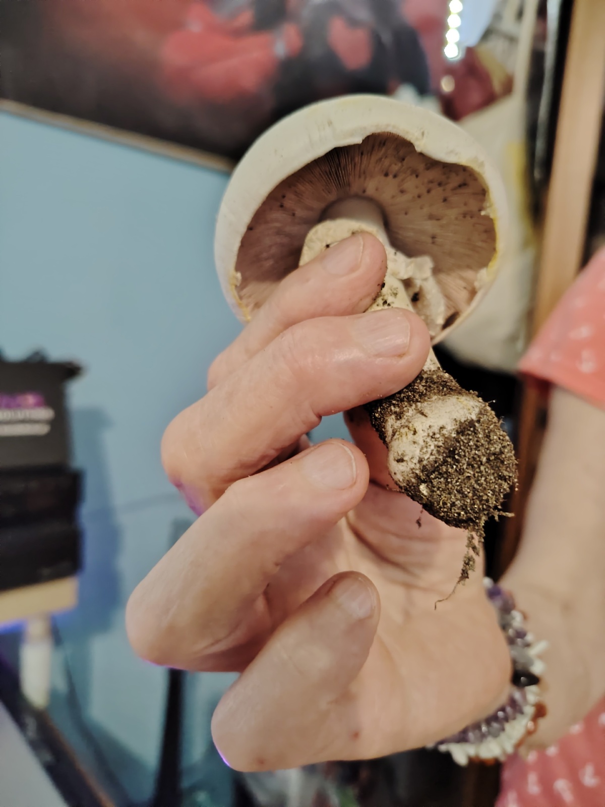 a620e38c-d0c6-4f71-9ed5-44385c6fb05a