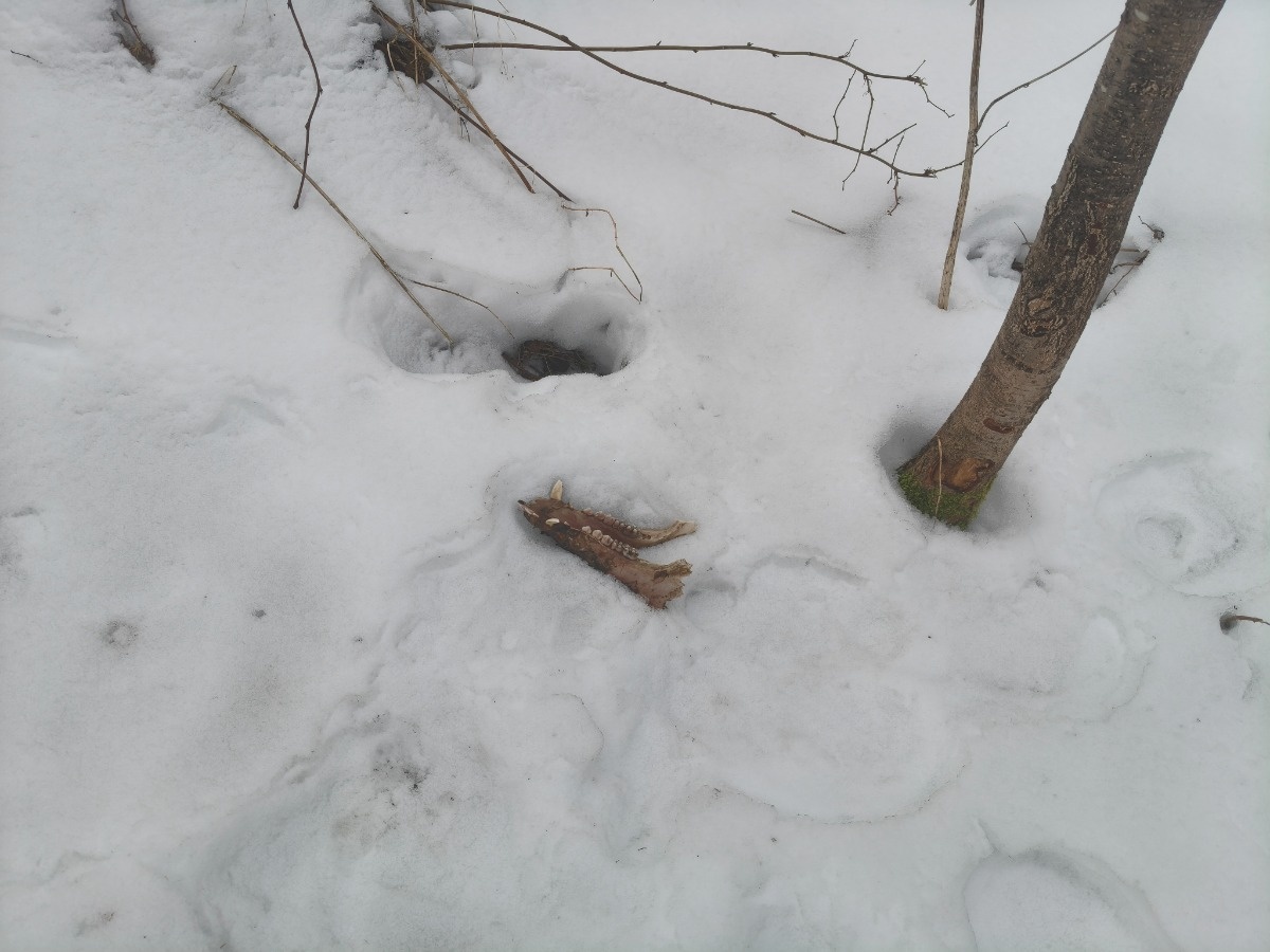 550f0f9c-8130-49ff-a200-03aa67653c2d