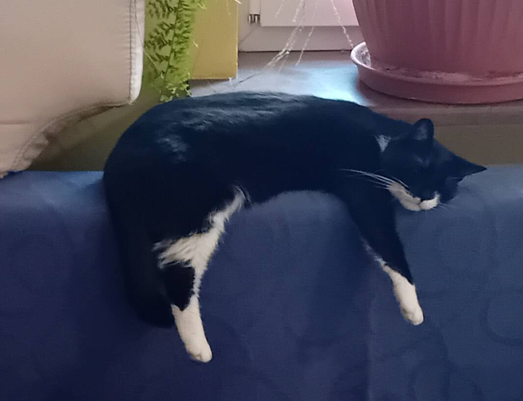 f49e2d40-3305-4a4f-85f7-230d25d7225e