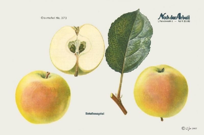 6adac49b-cd07-4348-8079-47a2aa6ce624