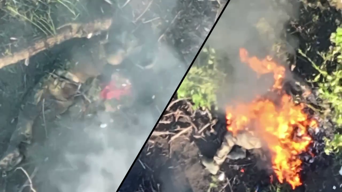 105423bb-e73d-4c3c-ab8c-7b66857455c0