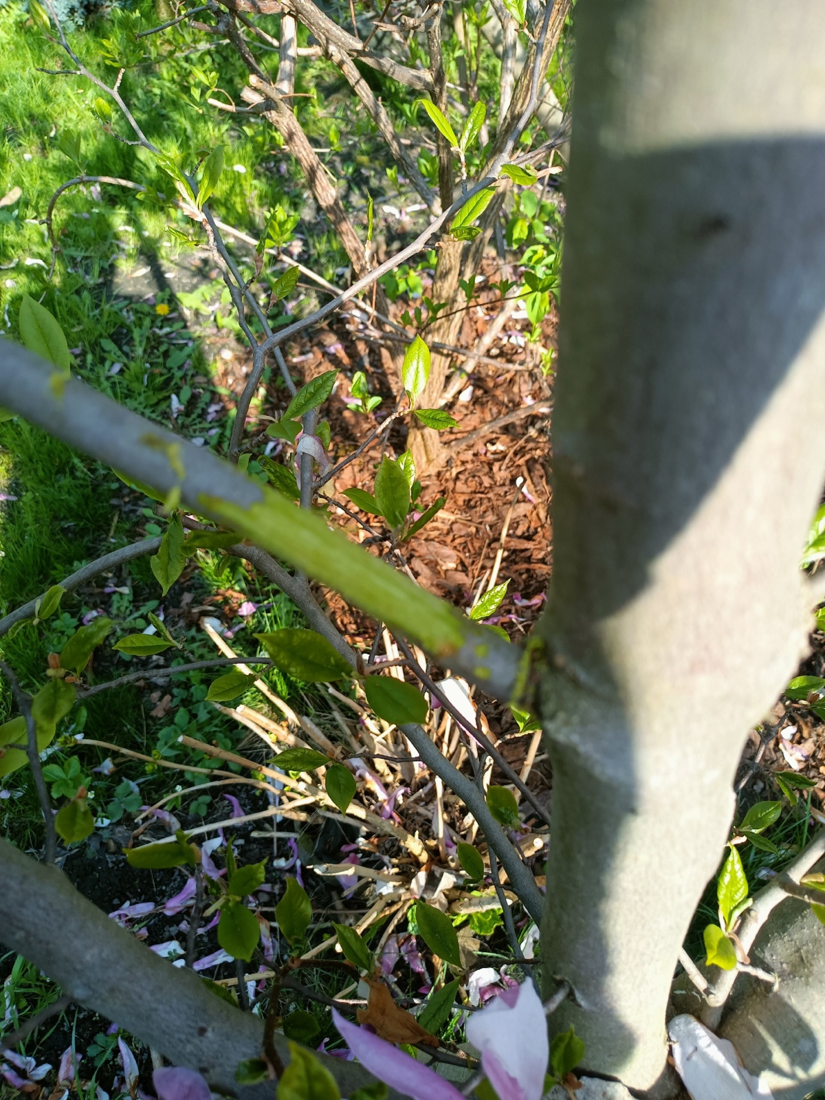 1bd15ac0-41ea-45c5-90f6-d233949f5858