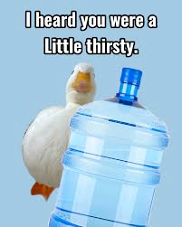 0517a476-4237-40a8-ac32-c93a1aa8dd11