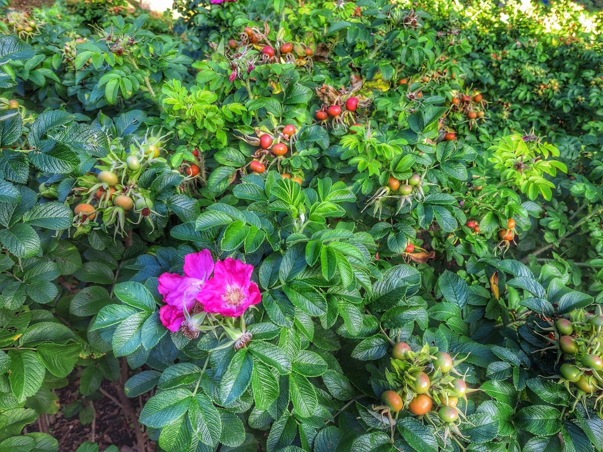 afd66b8a-ad15-438d-b1db-37f6a3b8b17b