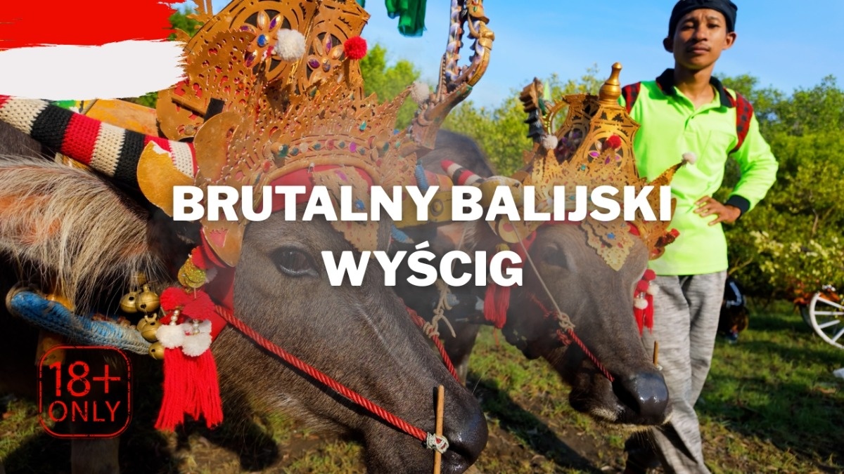 Odkrywam tajemnice Bali, nie wszystko jest piękne! - wyścigi Makepung i rafa koralowa