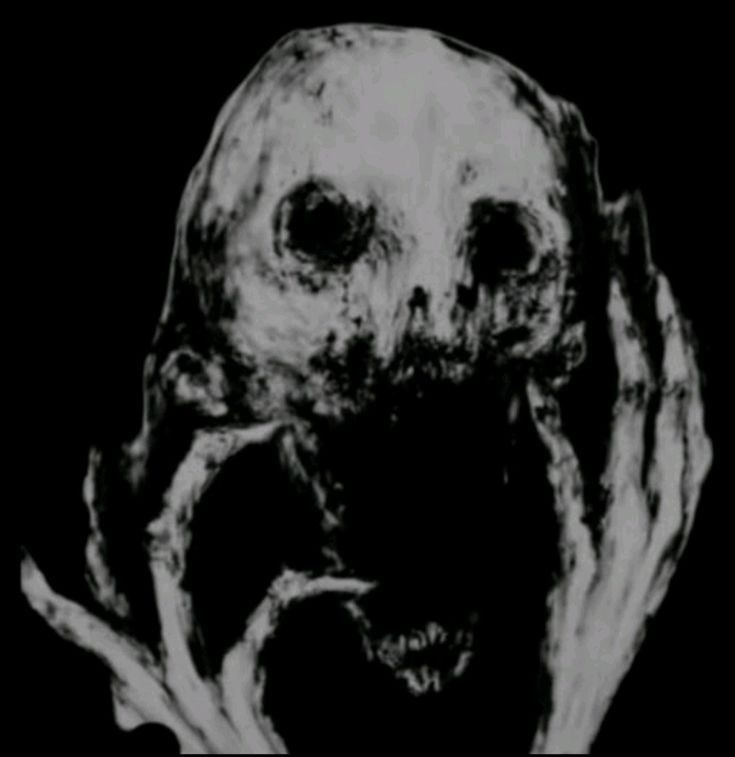 03b939b7-9dde-4606-a304-5ed592b36014