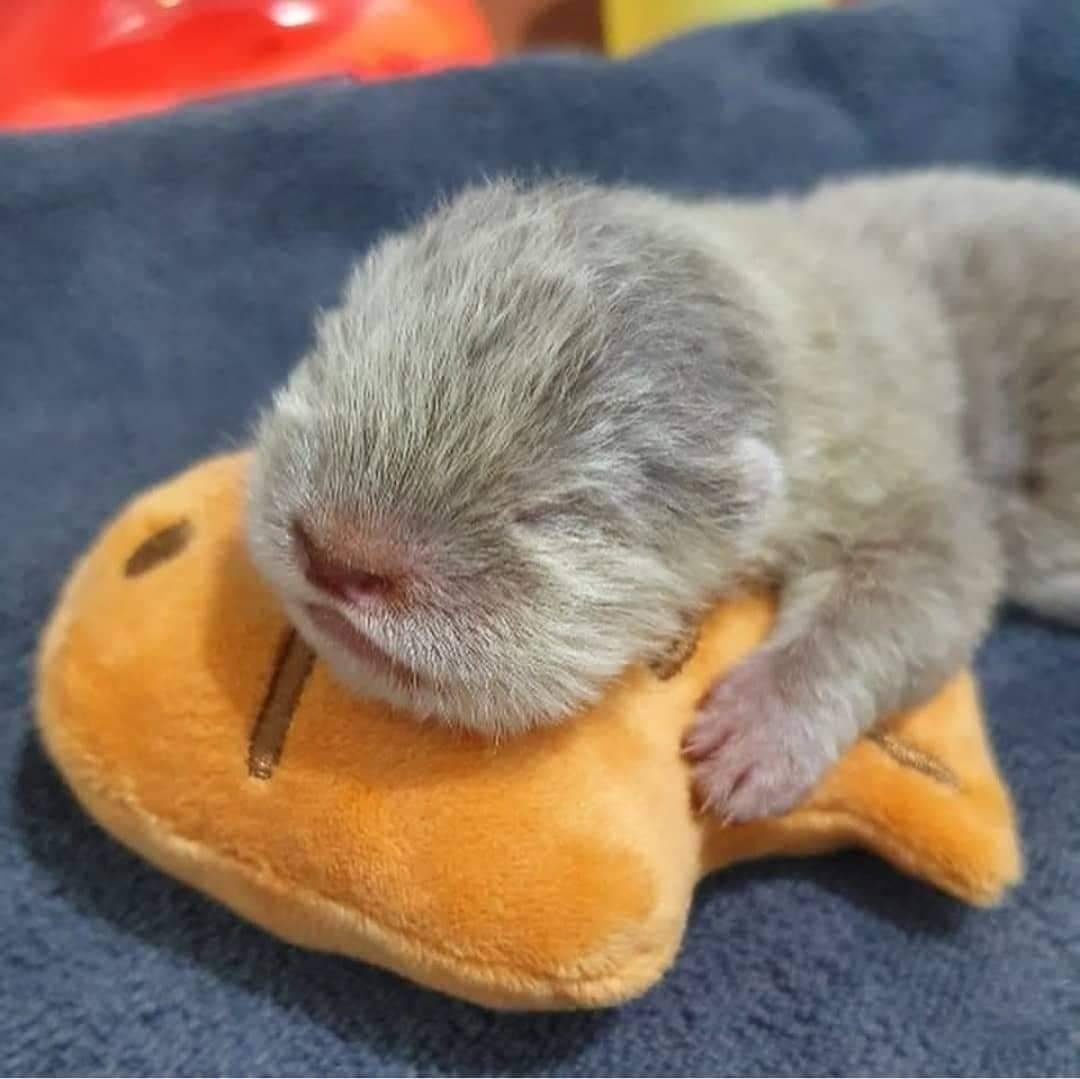 2eb6dc2e-117e-4ed9-98dc-8cd766d9fba4