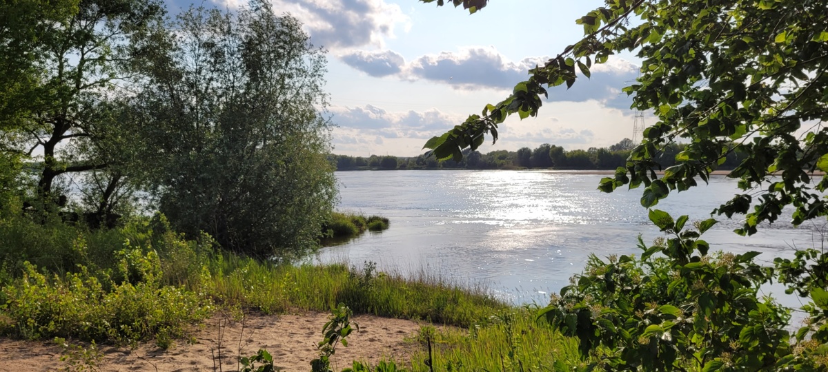 800aa2fa-da53-420c-9ef4-4ad05fc1c959