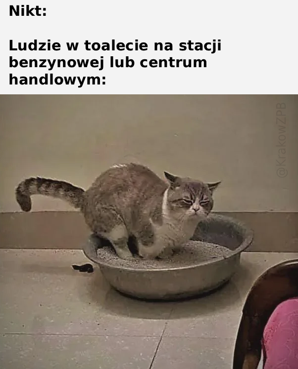 f8269934-9087-491e-a4e0-8c53b1c4dbe0