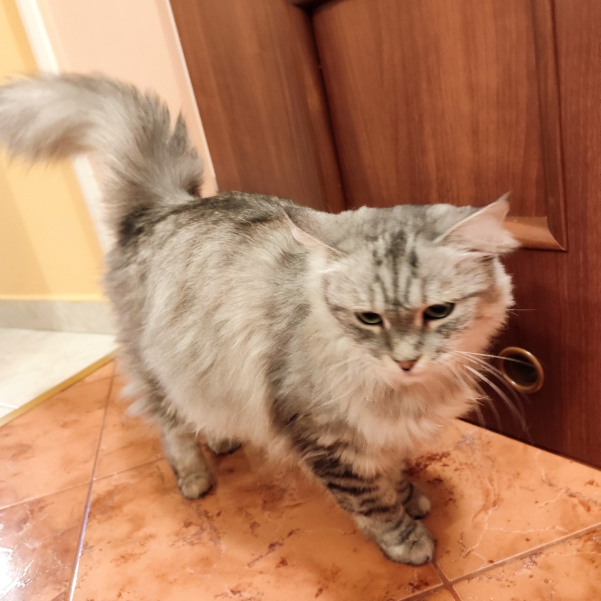 b5c66efc-de18-4bb5-9016-0a564bac5005