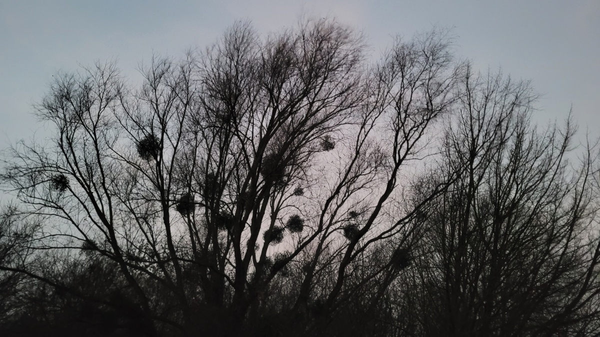 a73b9bc1-99a2-44de-8a68-bec3391e3ad9