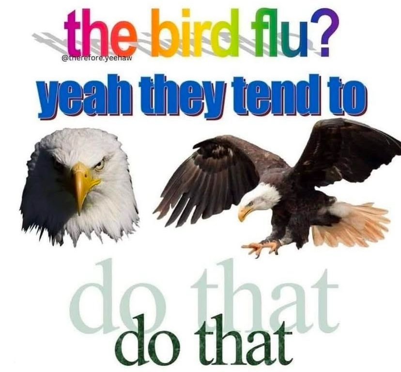 dac7b2a0-bed7-4278-a33d-7a2fa5789a05