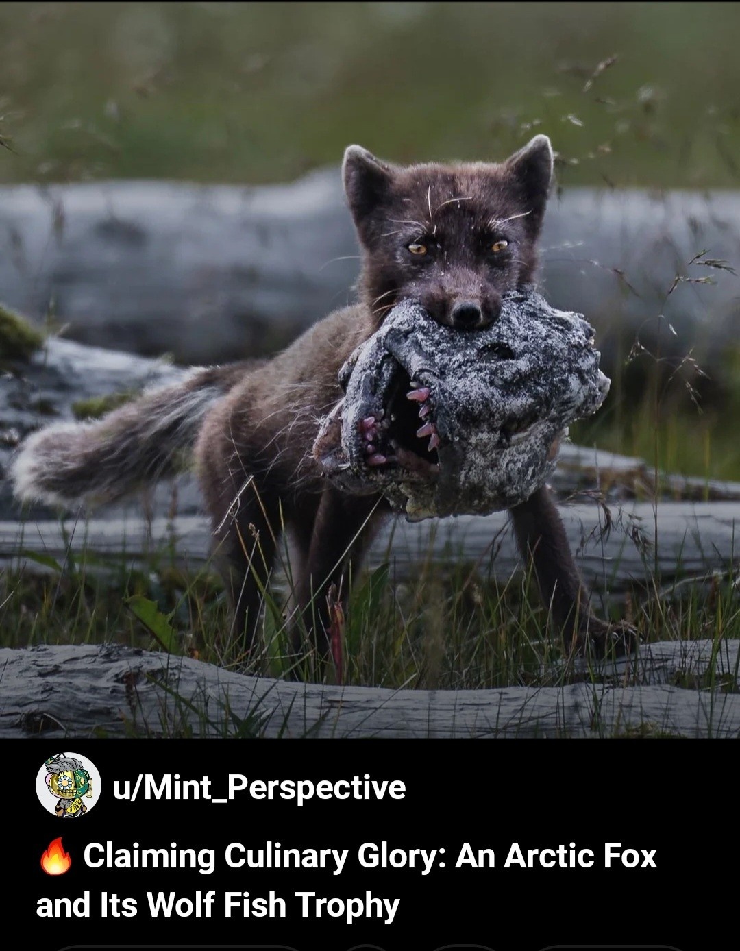 c778896b-f7ba-40da-ac6f-a8ce3691e6e1