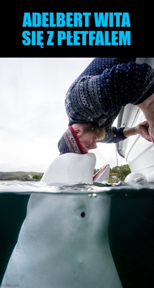 5eabfebd-2560-4617-ae32-79f1d51e04fb