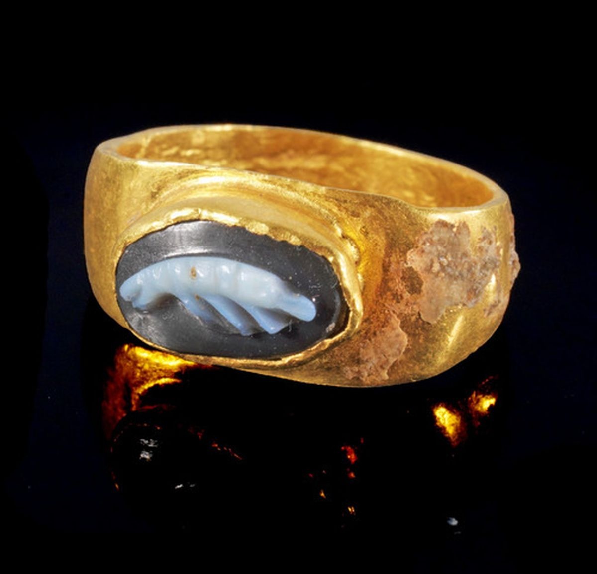 eee91ff8-63ab-44ff-94ad-51ff3e6477c1