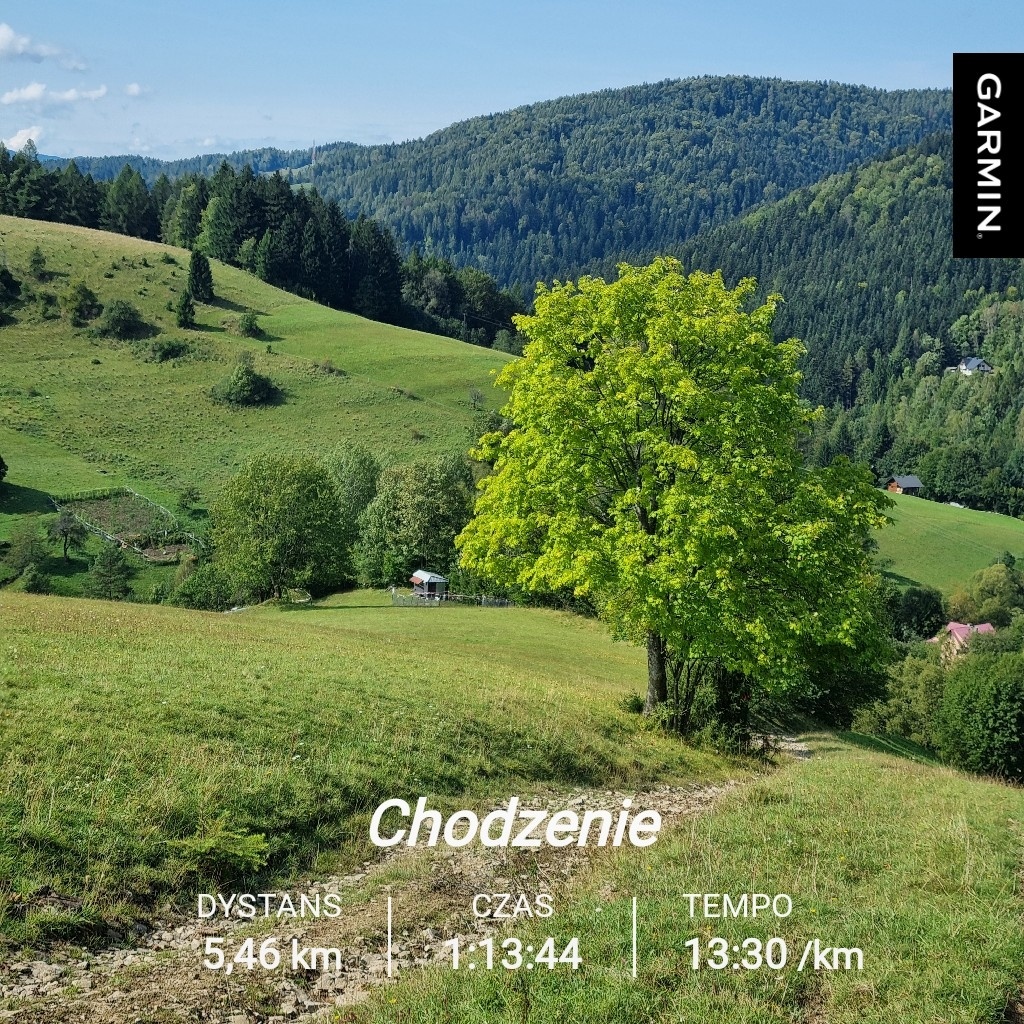 d122ac12-6b37-4e6f-802e-c4948a44444e