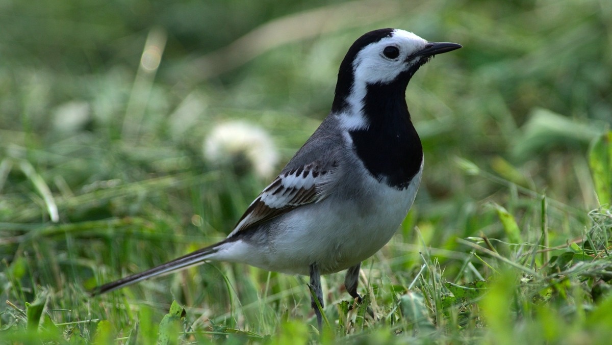 2487108f-9920-4105-a157-ffc6e3a01b70