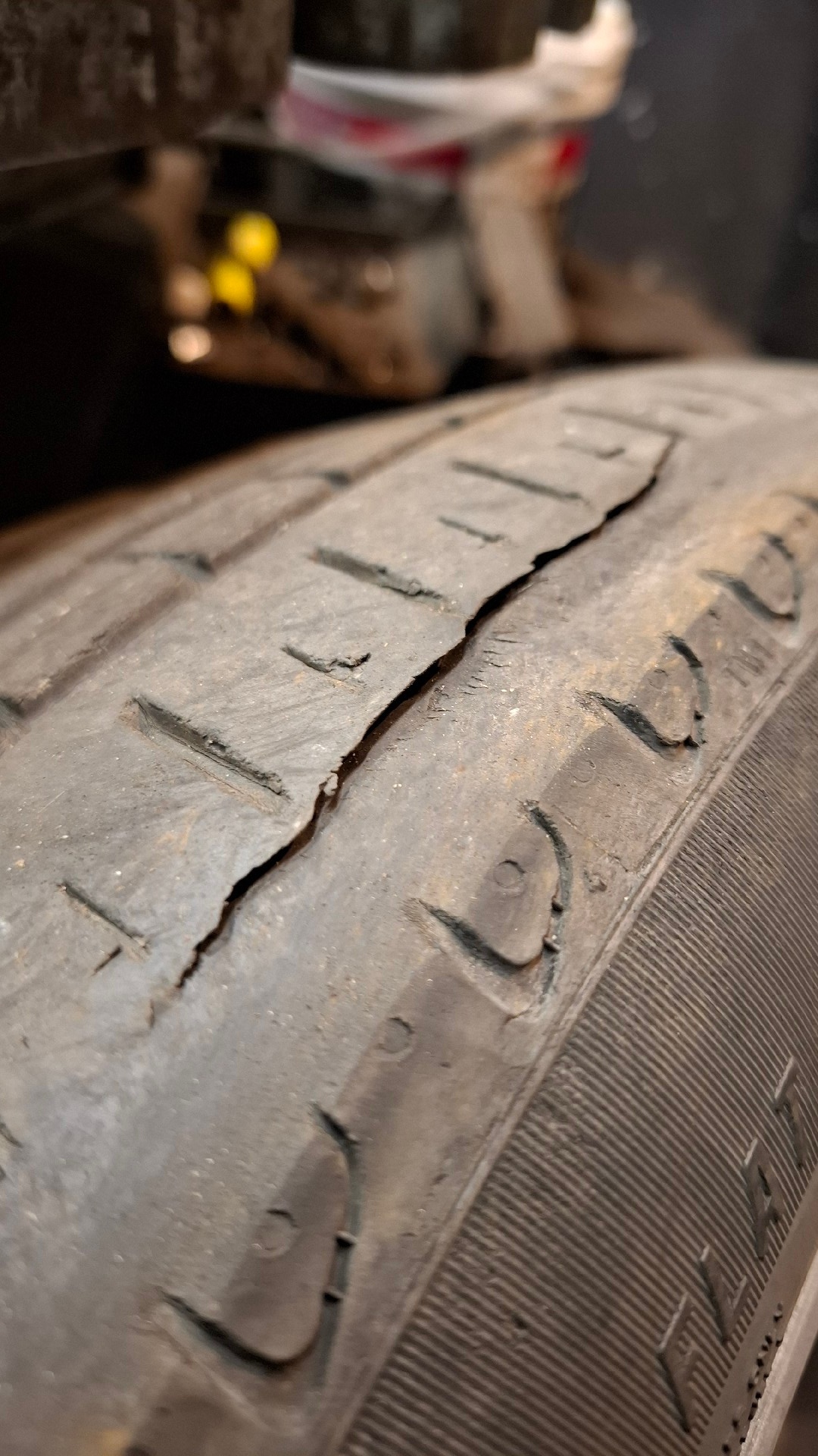 f69817cf-a6b4-406e-81d6-03f735275b84