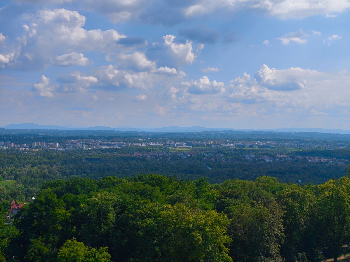 358239e6-2dd1-4878-a28f-af8247e3ae00