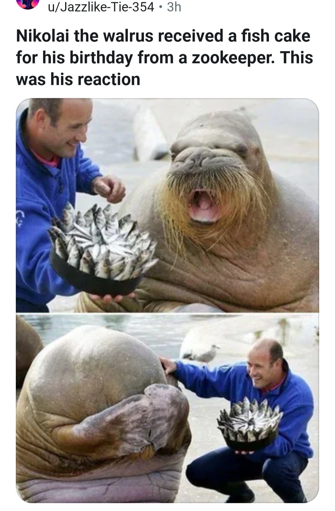 e730c0d4-57a1-42e3-aefa-daf35b595bb8