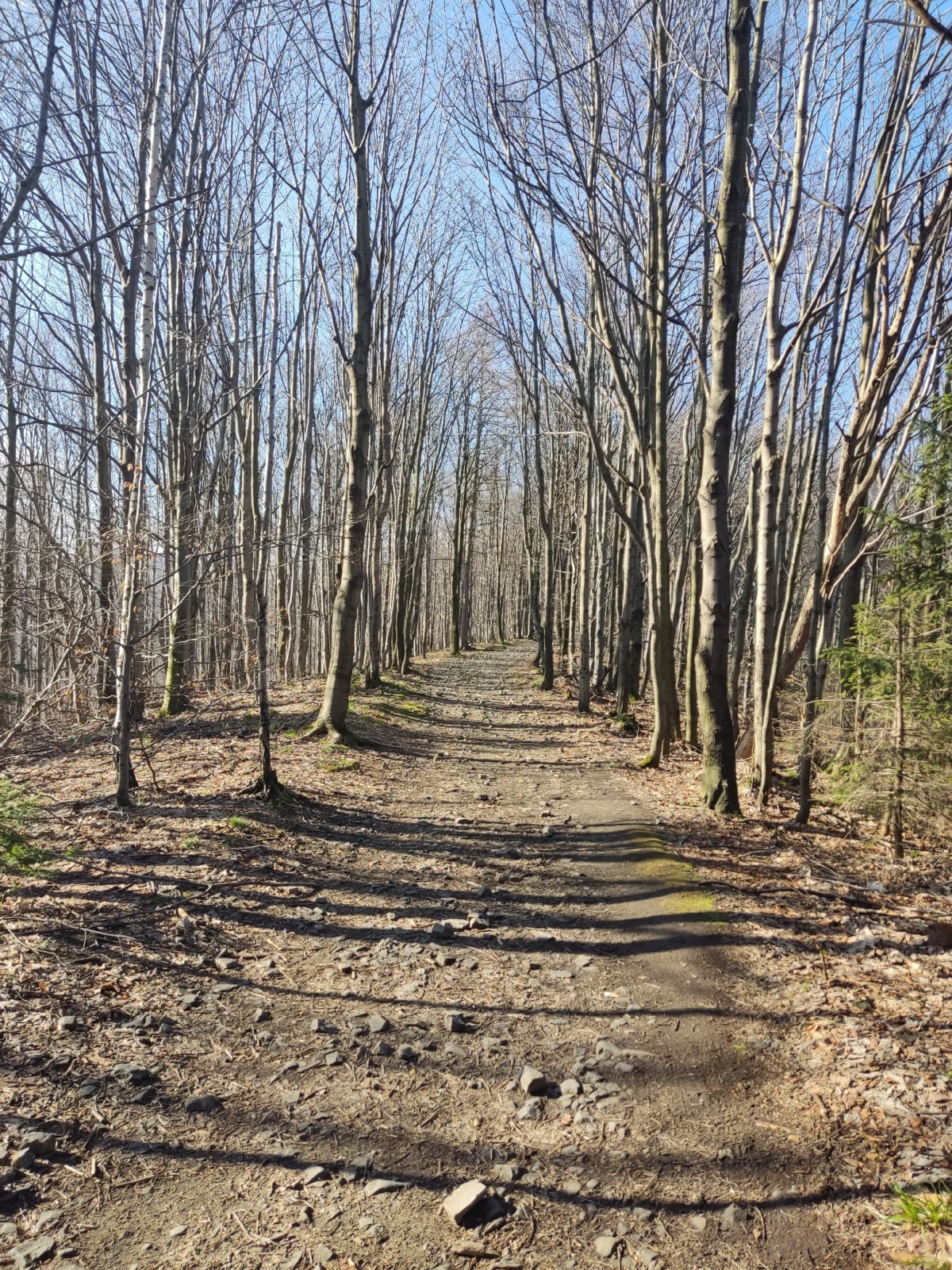 4d4b797c-2be6-4342-83ff-ab8b5f9ca551