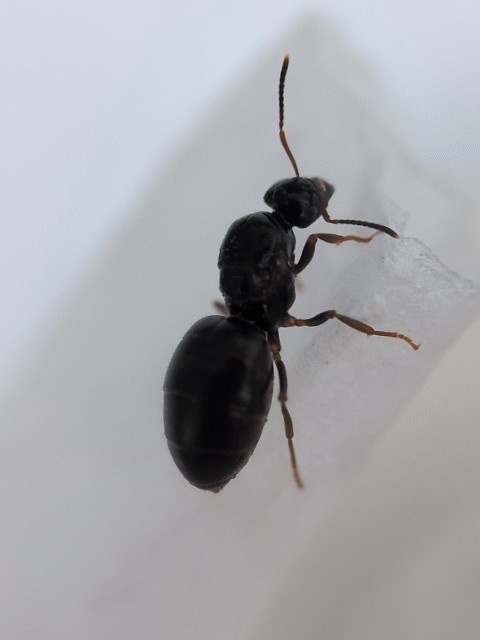 36432081-bee7-406d-ad14-25015183ca77