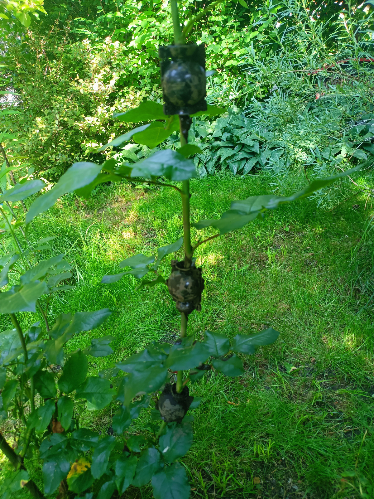 9c15a6a7-c867-4611-bea2-e49265db7641