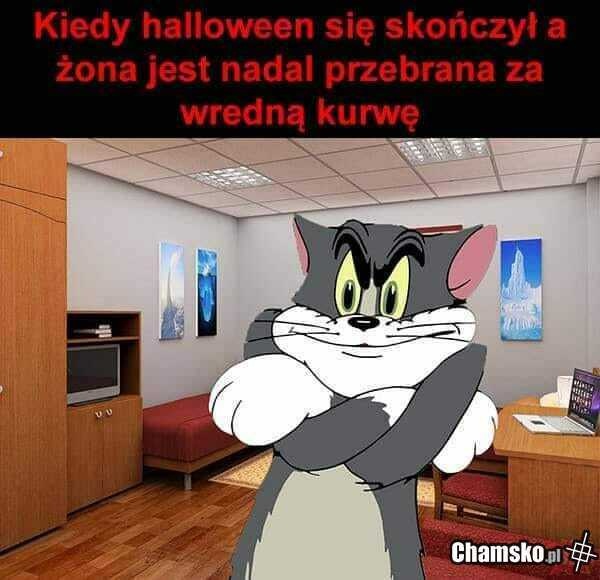 e2b1afa0-0bcf-453f-b2ee-c9d6dd7142b8