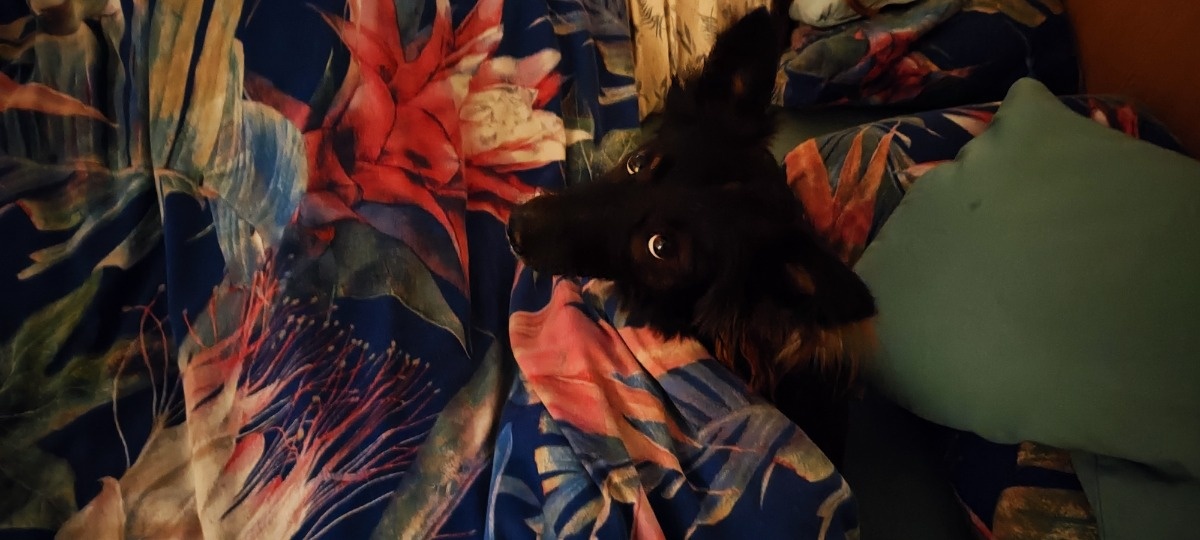 28d3db71-8a39-4537-9a76-bb9042979e15