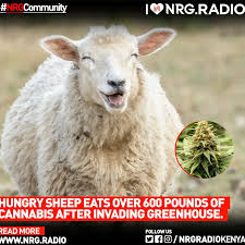 10755fbb-04c8-47e4-873f-5548abcc9f3e