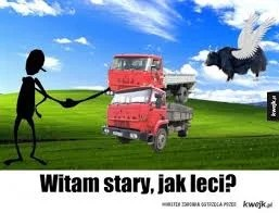 eee981fd-5f7e-4634-b876-6db130d9a287