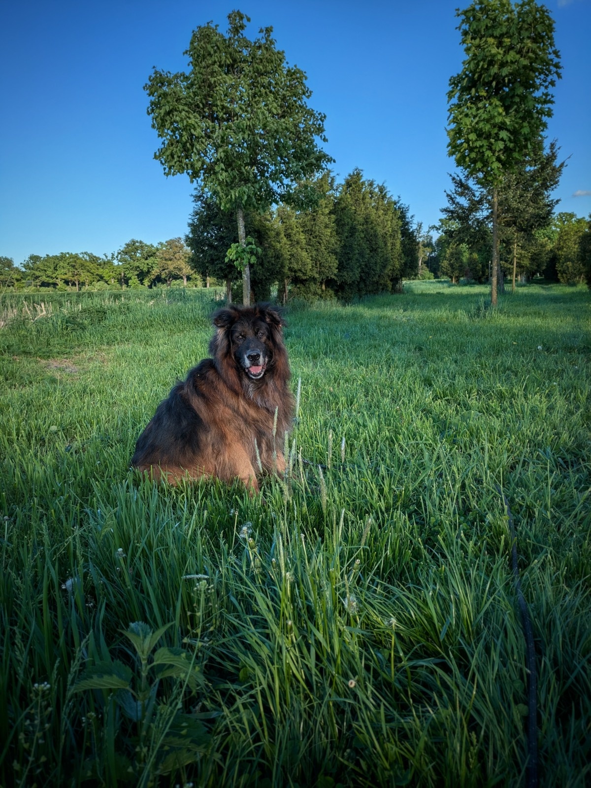 acc3bb39-3414-4b10-a67e-22f397179231