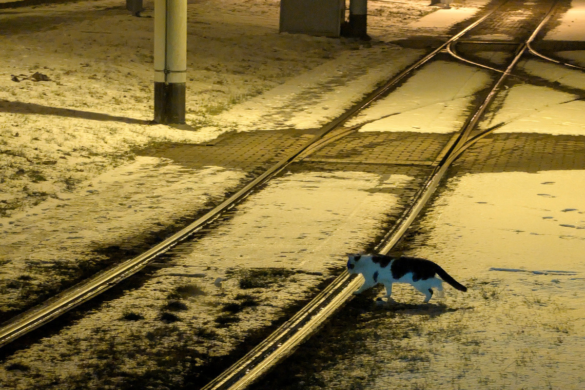 f5173226-2e04-4be4-9041-59c74b57dc23